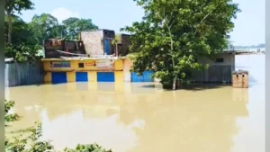 बिहार में बेकाबू हुआ नदियों का रौद्र रूप: छपरा में उफनाती मही नदी का घोरहू कोठिया बांध टूटा, 25 से अधिक गांव जलमग्न; गंगा, गंडक और पुनपुन भी लाल निशान के पार